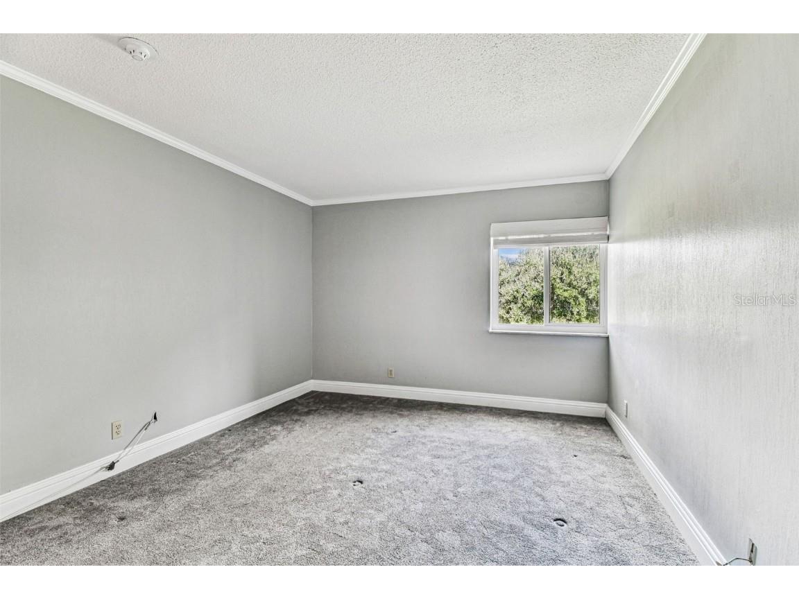 36750 Us Highway 19 N #20201 Palm Harbor FL 34684 TB8423613 image33