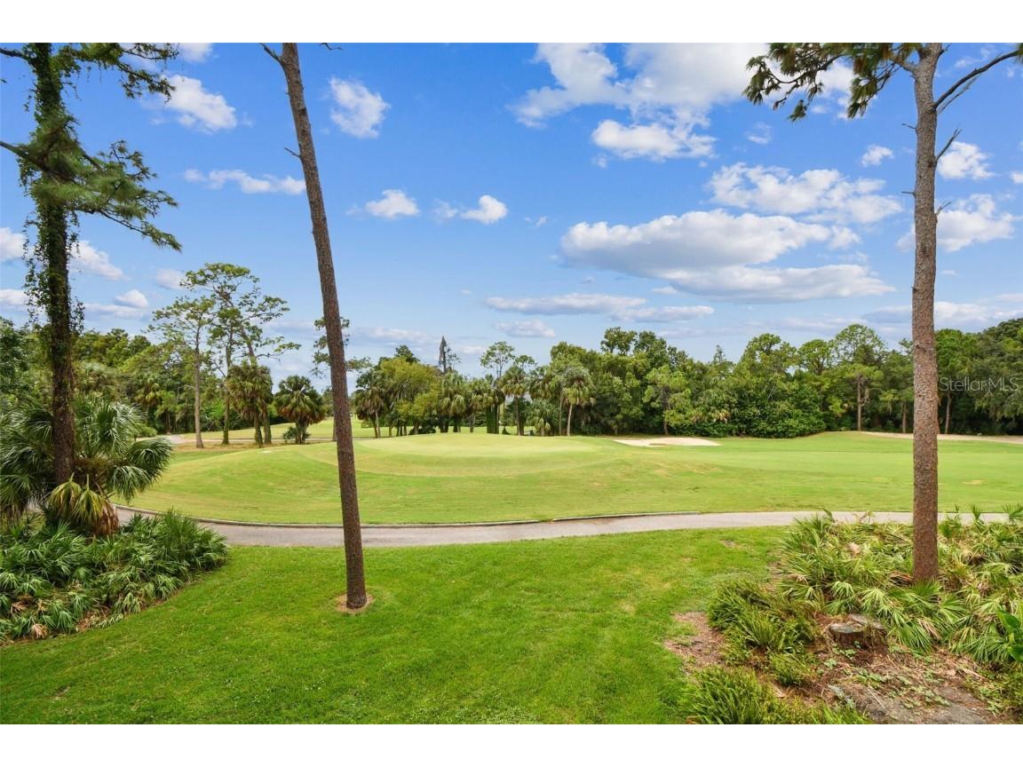 36750 Us Highway 19 N #20201 Palm Harbor FL 34684 TB8423613 image50