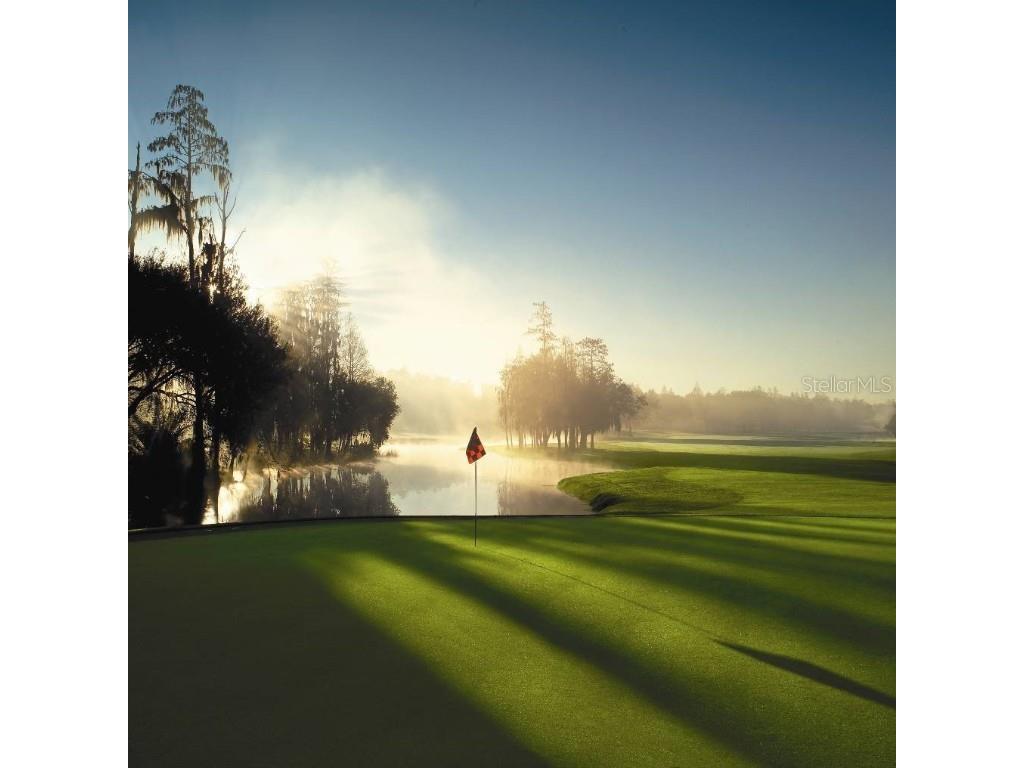 36750 Us Highway 19 N #20201 Palm Harbor FL 34684 TB8423613 image80