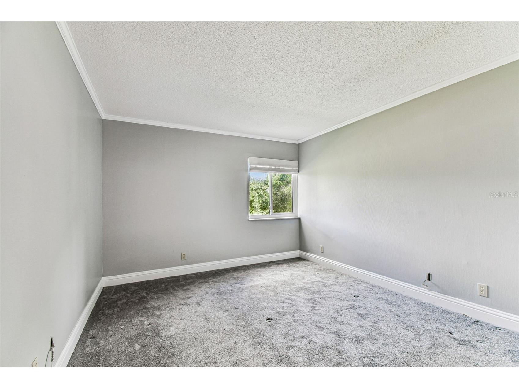 36750 Us Highway 19 N #20201 Palm Harbor FL 34684 TB8506788 image31
