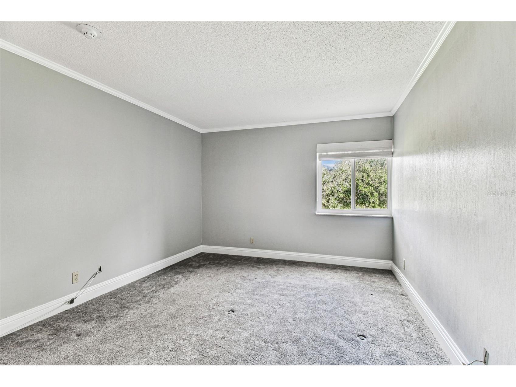 36750 Us Highway 19 N #20201 Palm Harbor FL 34684 TB8506788 image34