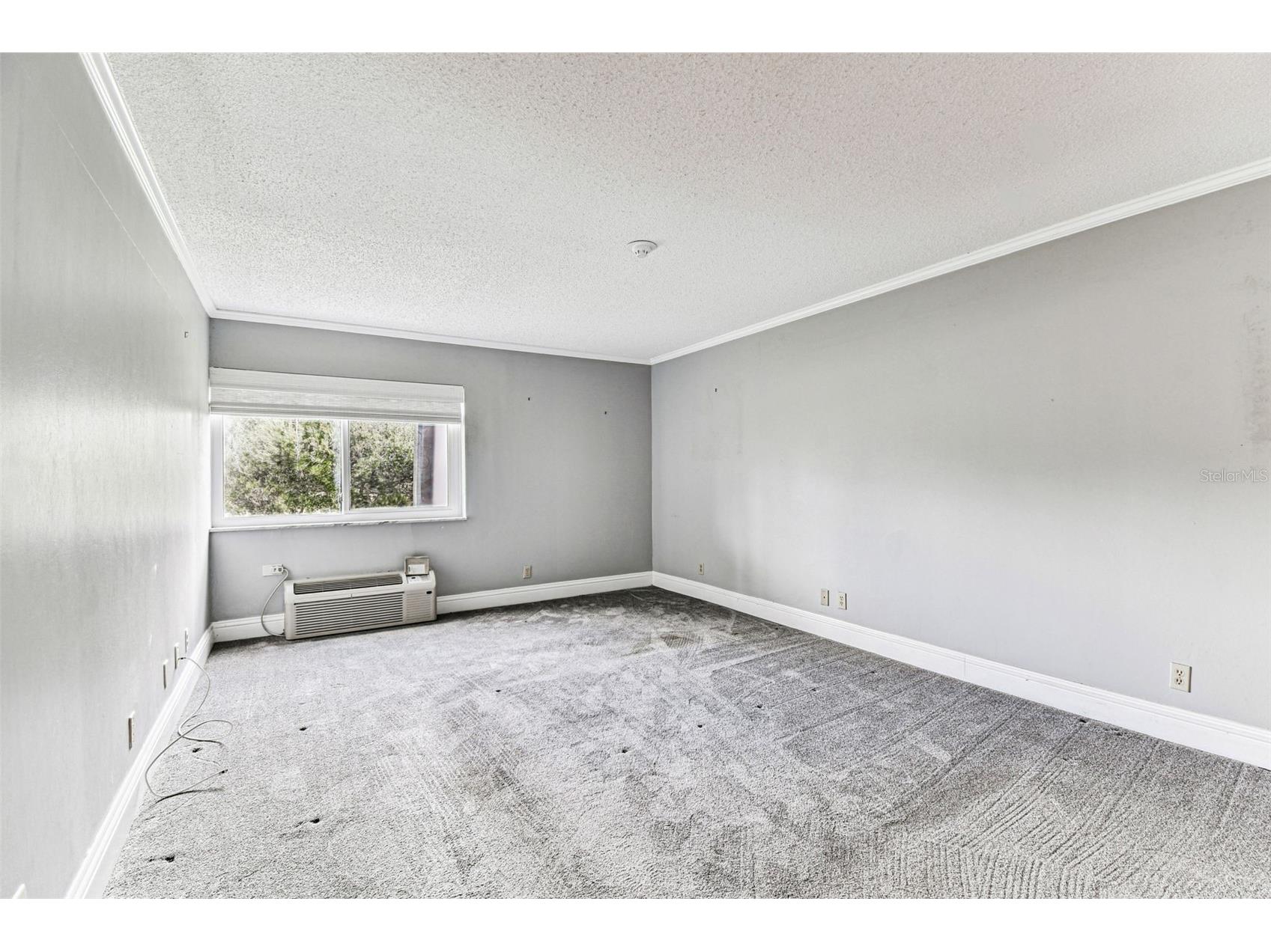 36750 Us Highway 19 N #20201 Palm Harbor FL 34684 TB8506788 image38