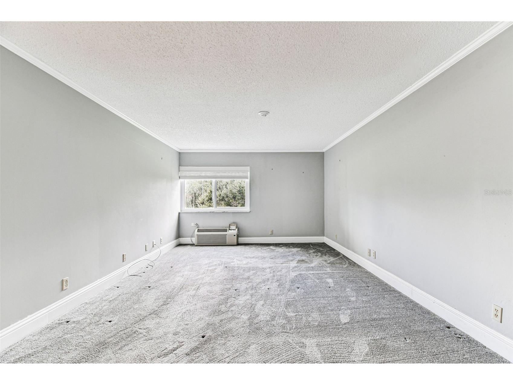 36750 Us Highway 19 N #20201 Palm Harbor FL 34684 TB8506788 image39