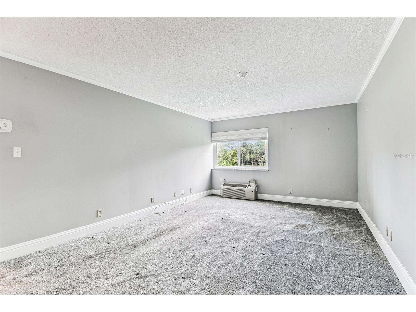 36750 Us Highway 19 N #20201 Palm Harbor FL 34684 TB8506788 image40