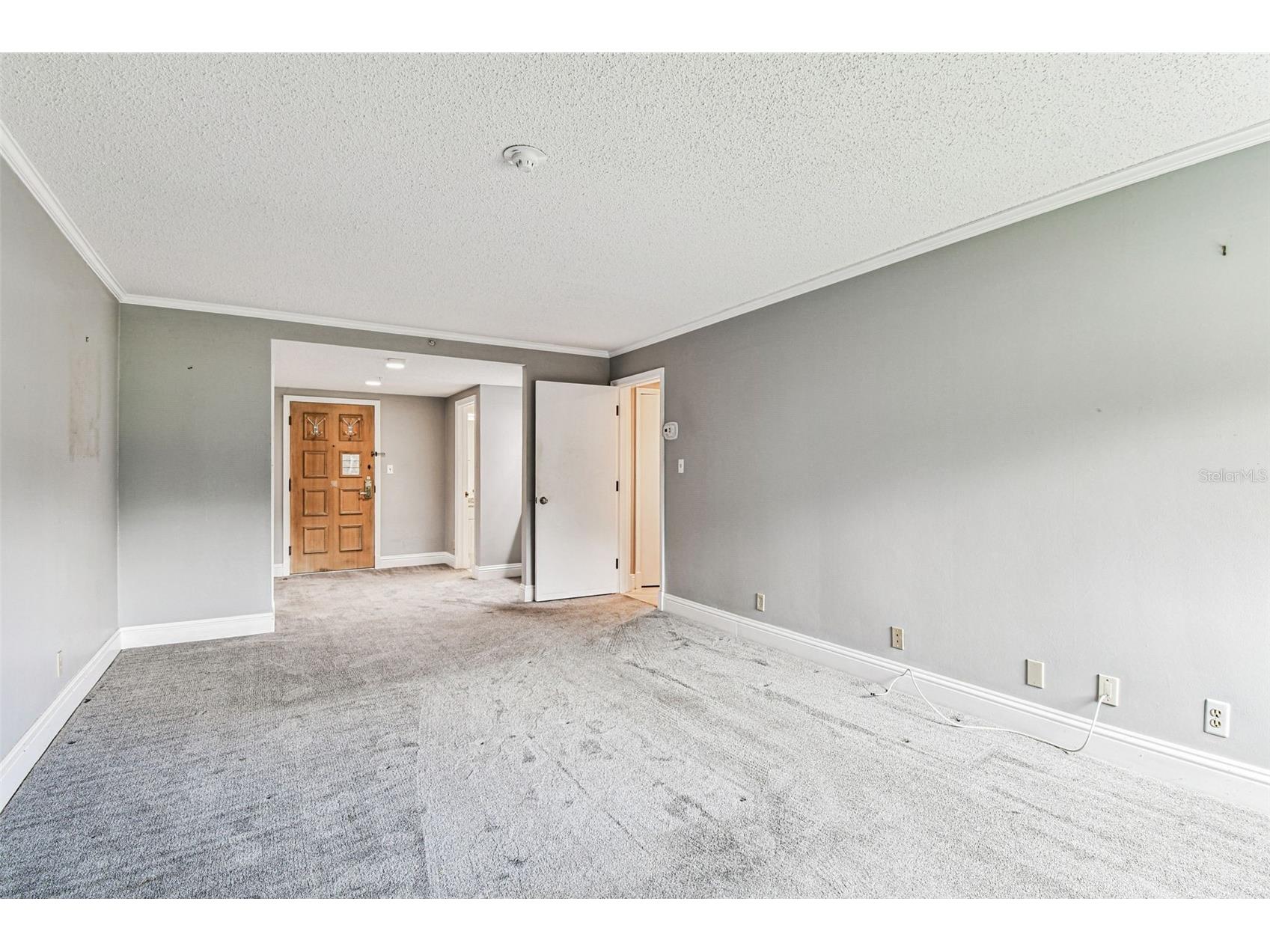 36750 Us Highway 19 N #20201 Palm Harbor FL 34684 TB8506788 image41