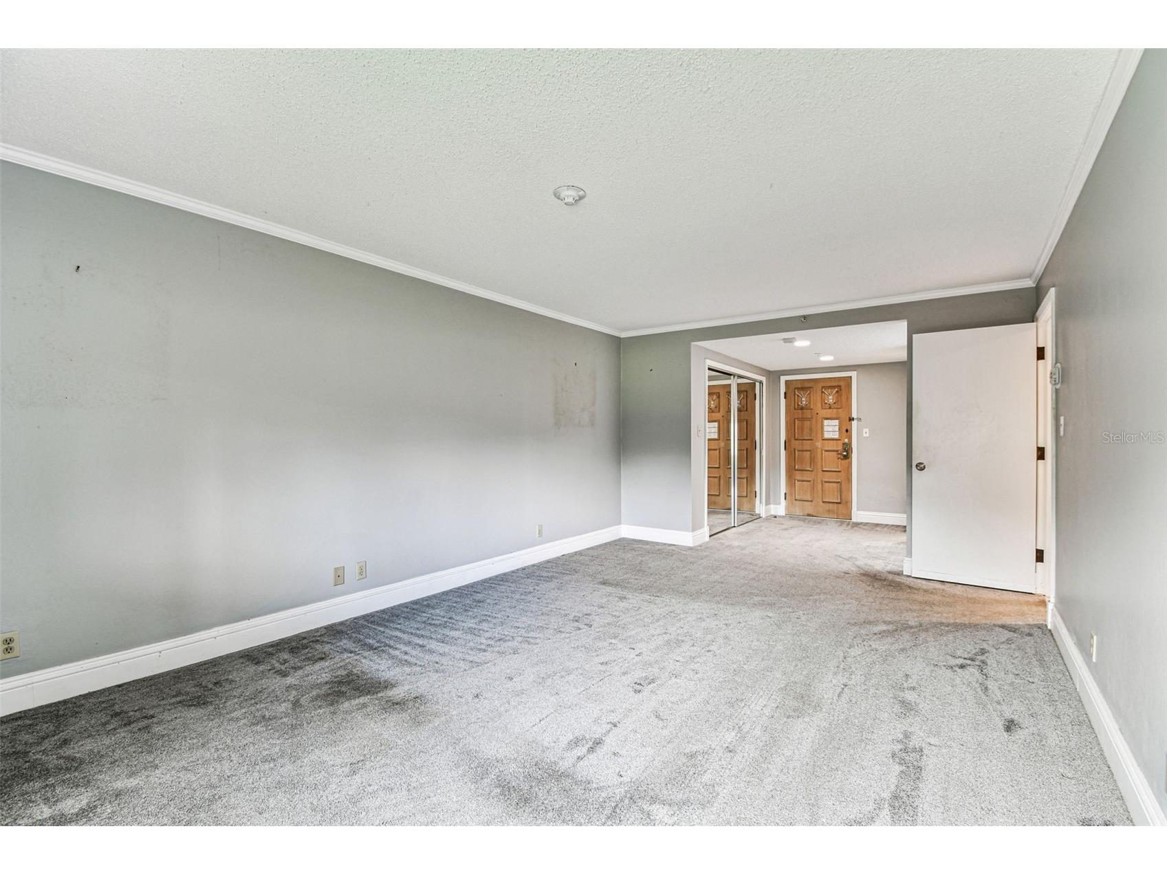 36750 Us Highway 19 N #20201 Palm Harbor FL 34684 TB8506788 image42