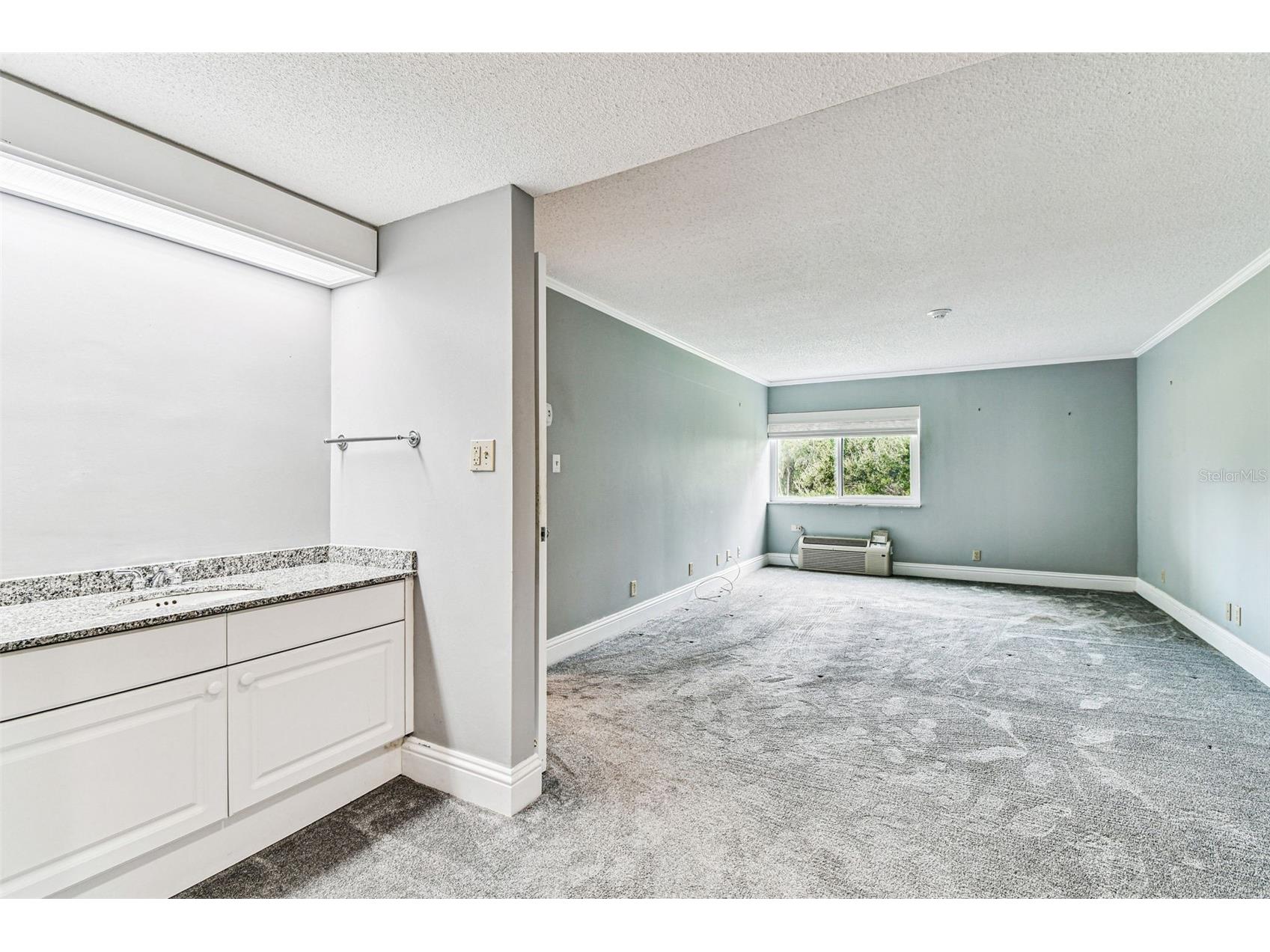 36750 Us Highway 19 N #20201 Palm Harbor FL 34684 TB8506788 image44