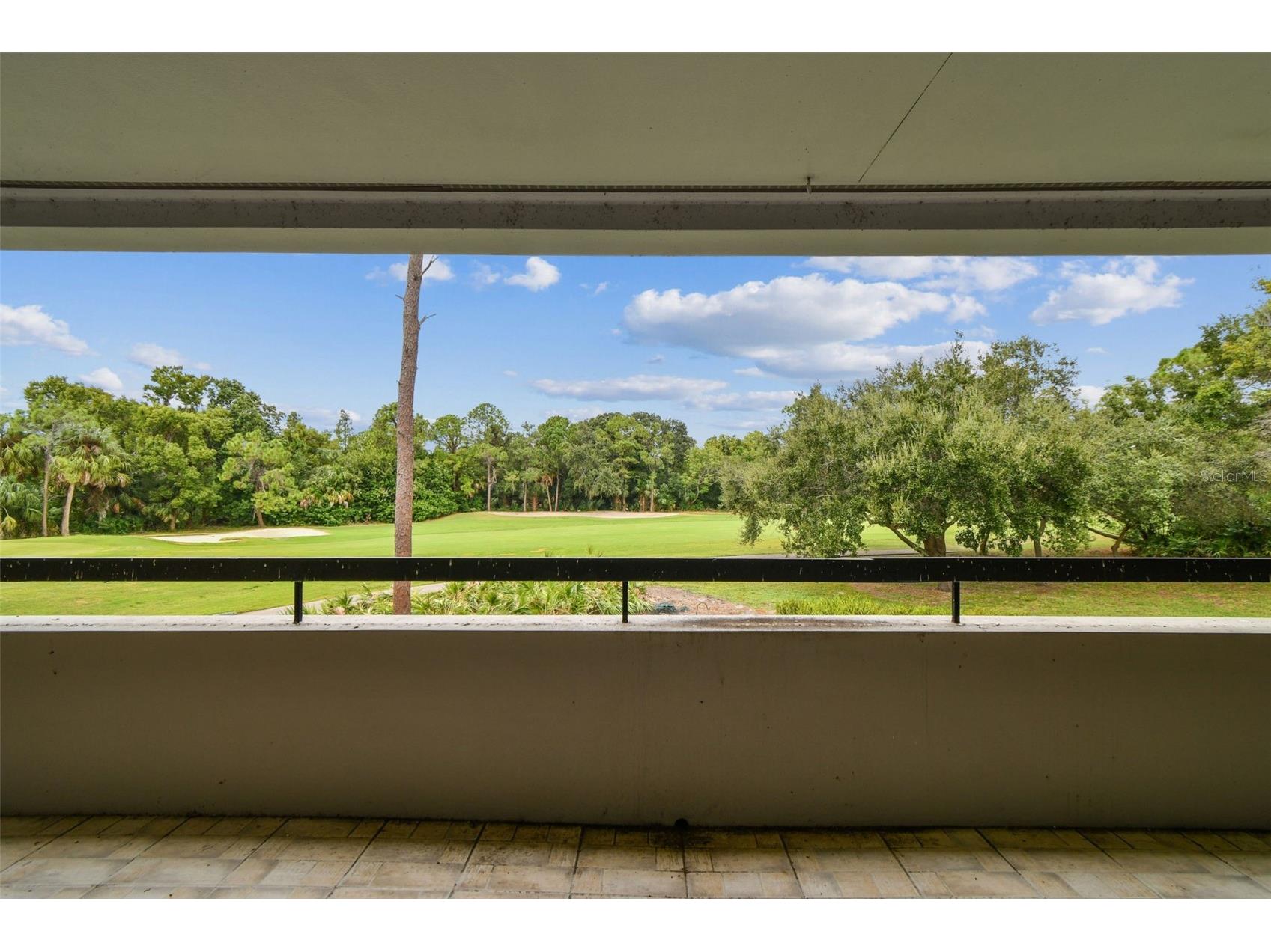 36750 Us Highway 19 N #20201 Palm Harbor FL 34684 TB8506788 image48