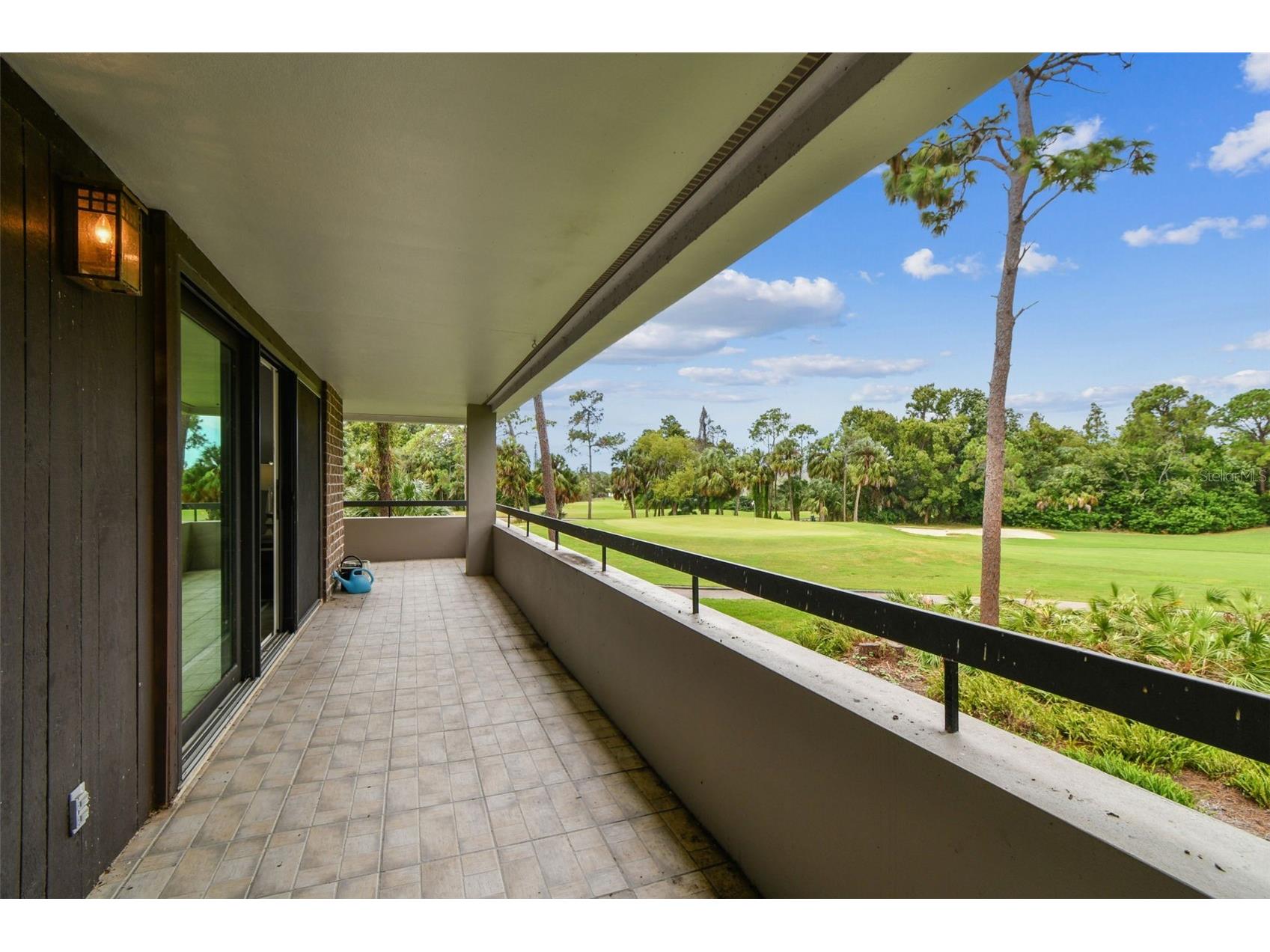 36750 Us Highway 19 N #20201 Palm Harbor FL 34684 TB8506788 image49