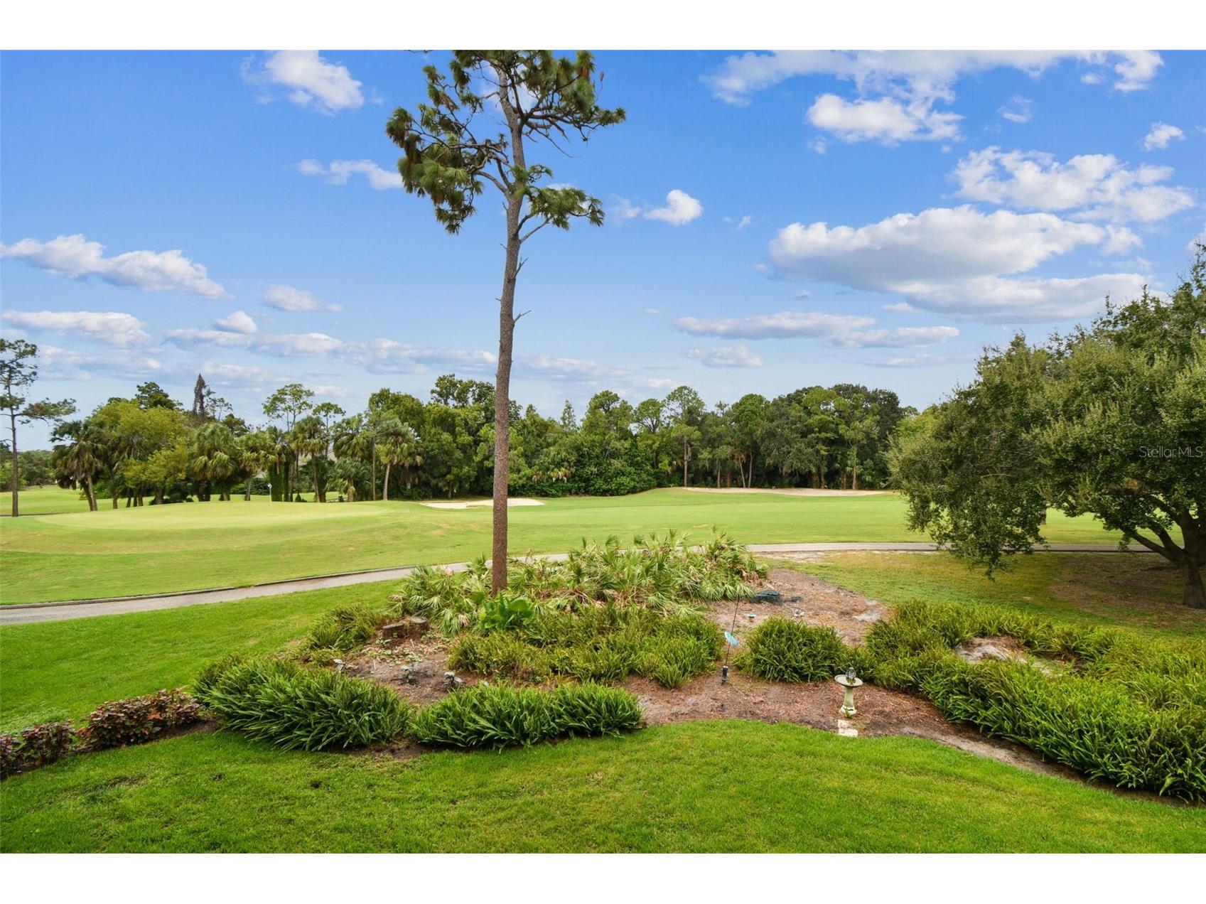 36750 Us Highway 19 N #20201 Palm Harbor FL 34684 TB8506788 image50