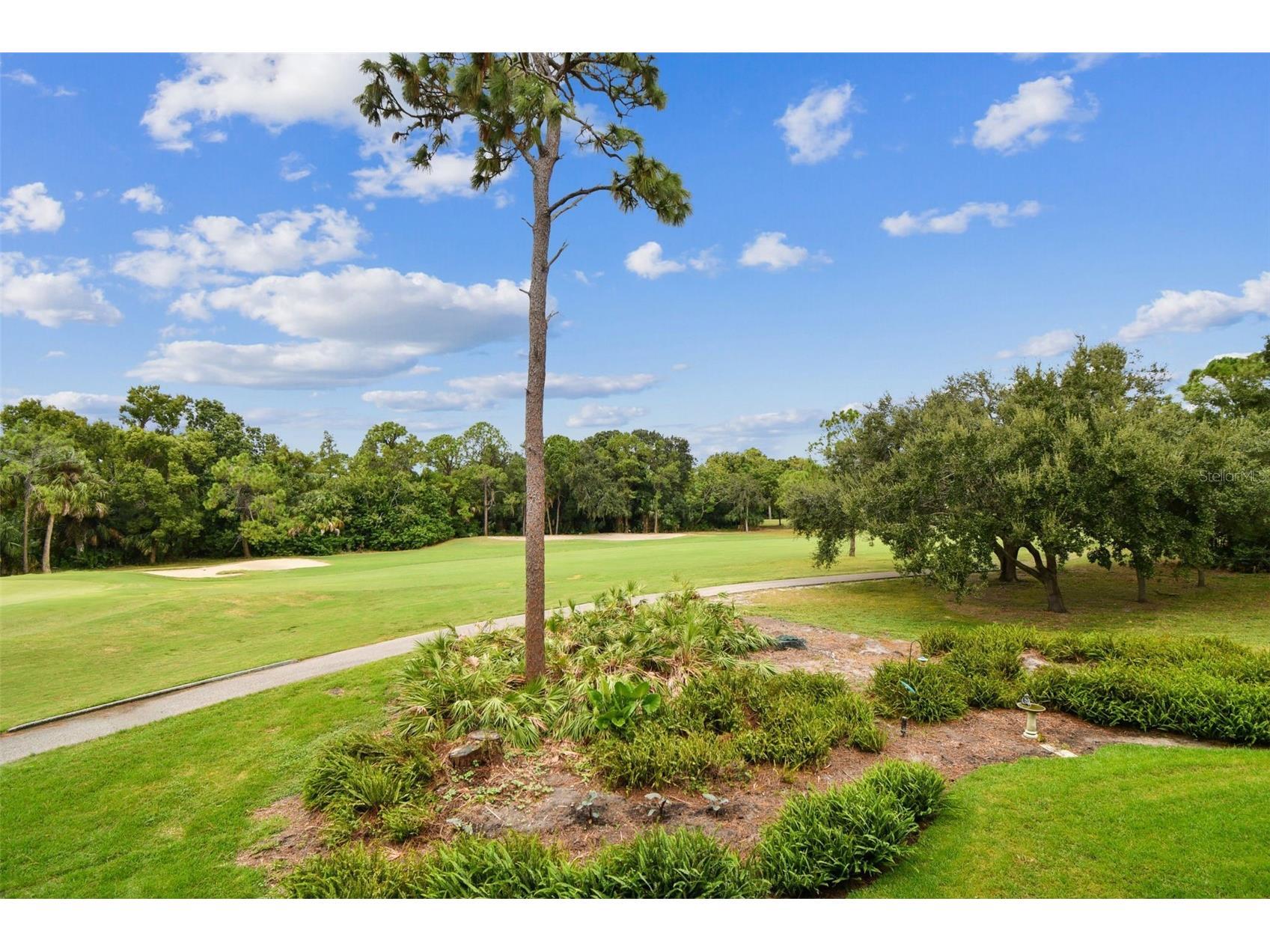 36750 Us Highway 19 N #20201 Palm Harbor FL 34684 TB8506788 image51