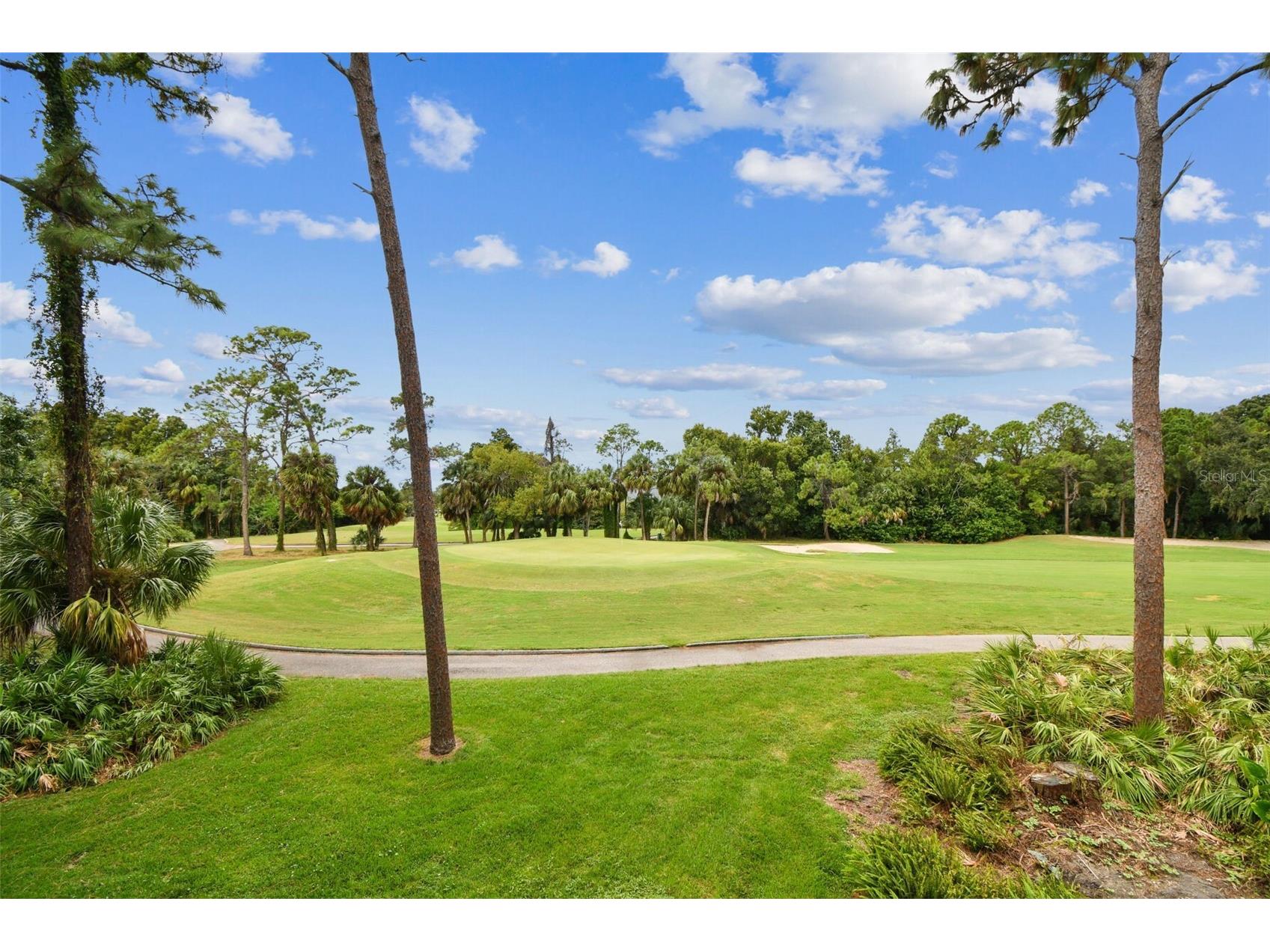 36750 Us Highway 19 N #20201 Palm Harbor FL 34684 TB8506788 image52