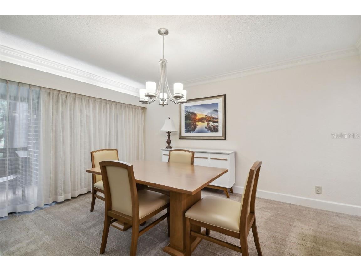 36750 Us Highway 19 N #20213 Palm Harbor FL 34684 TB8450400 image10