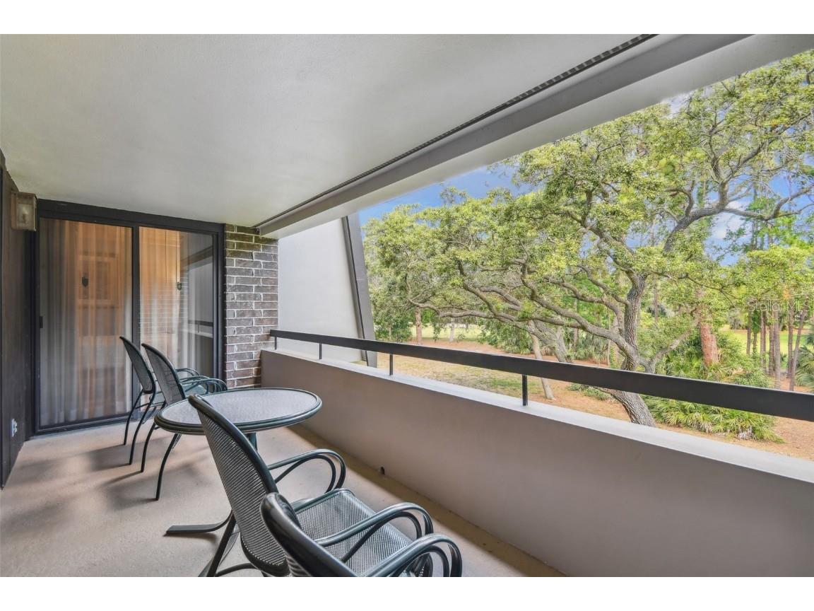 36750 Us Highway 19 N #20213 Palm Harbor FL 34684 TB8450400 image25