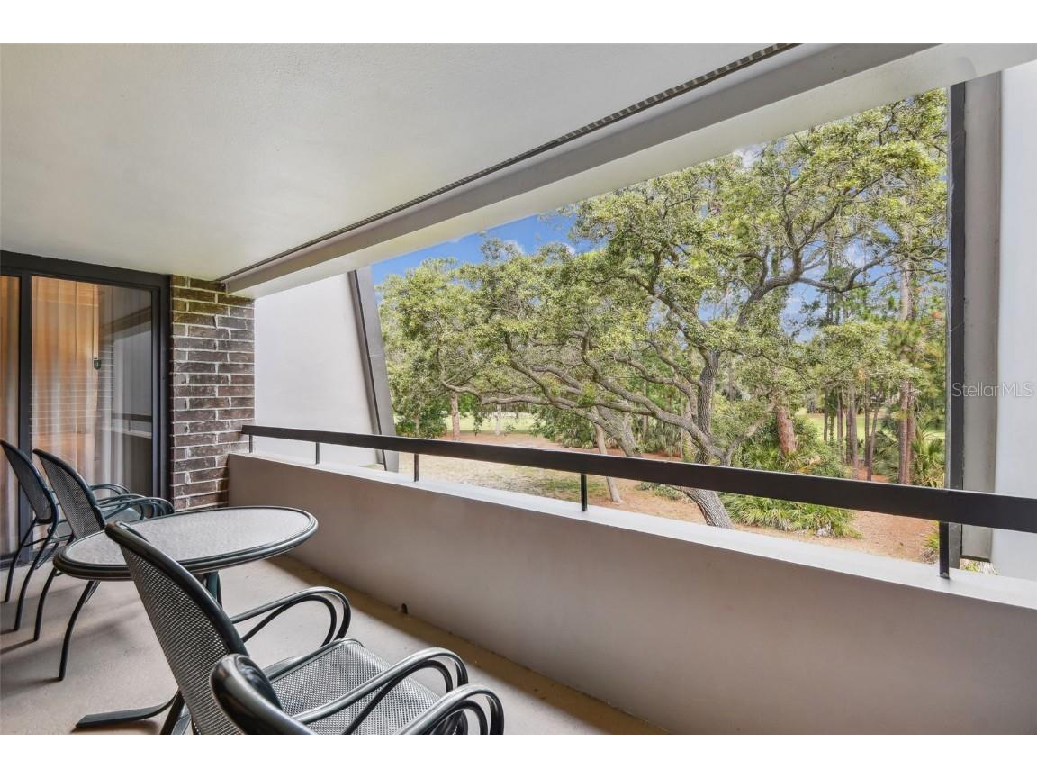 36750 Us Highway 19 N #20213 Palm Harbor FL 34684 TB8450400 image26