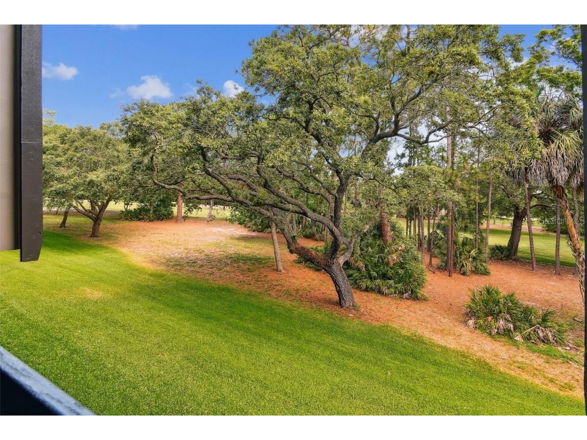 36750 Us Highway 19 N #20213 Palm Harbor FL 34684 TB8450400 image27