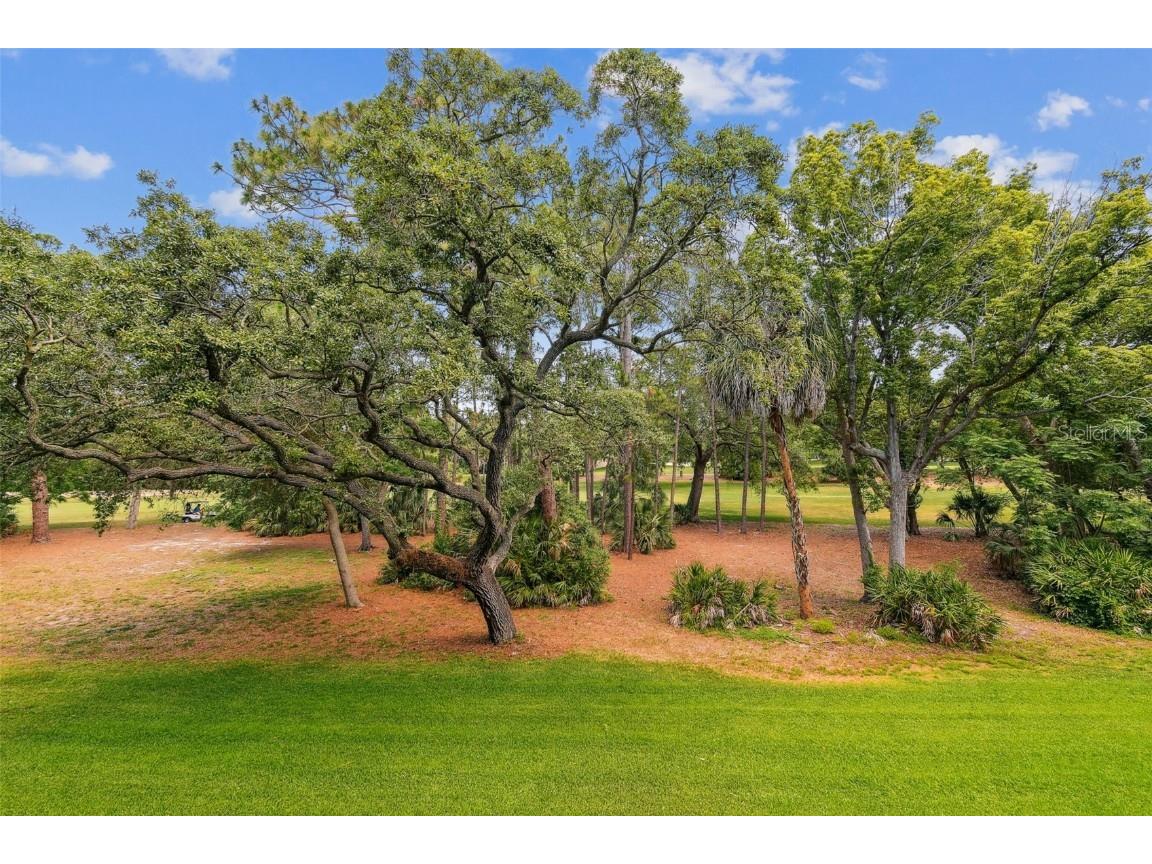 36750 Us Highway 19 N #20213 Palm Harbor FL 34684 TB8450400 image28