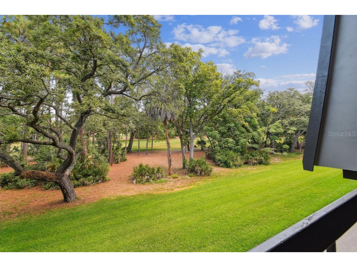 36750 Us Highway 19 N #20213 Palm Harbor FL 34684 TB8450400 image29