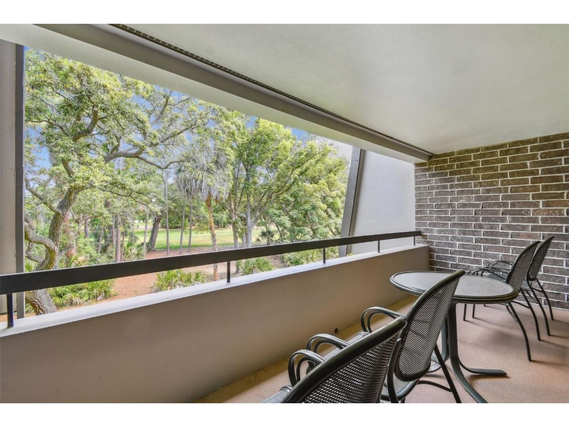 36750 Us Highway 19 N #20213 Palm Harbor FL 34684 TB8450400 image31