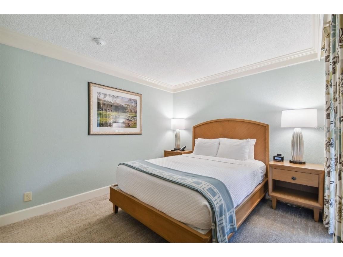 36750 Us Highway 19 N #20213 Palm Harbor FL 34684 TB8450400 image36