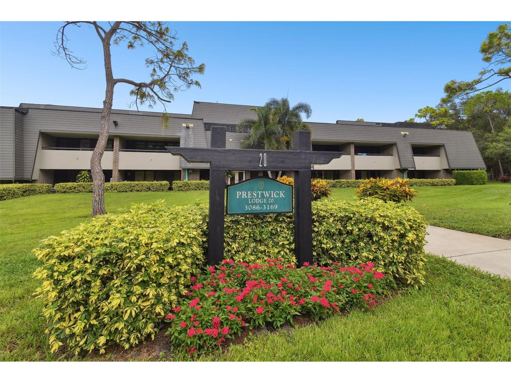 36750 Us Highway 19 N #20305 Palm Harbor FL 34684 TB8510689 image1