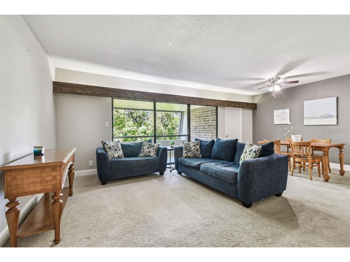 36750 Us Highway 19 N #20309 Palm Harbor FL 34684 TB8430924 image11