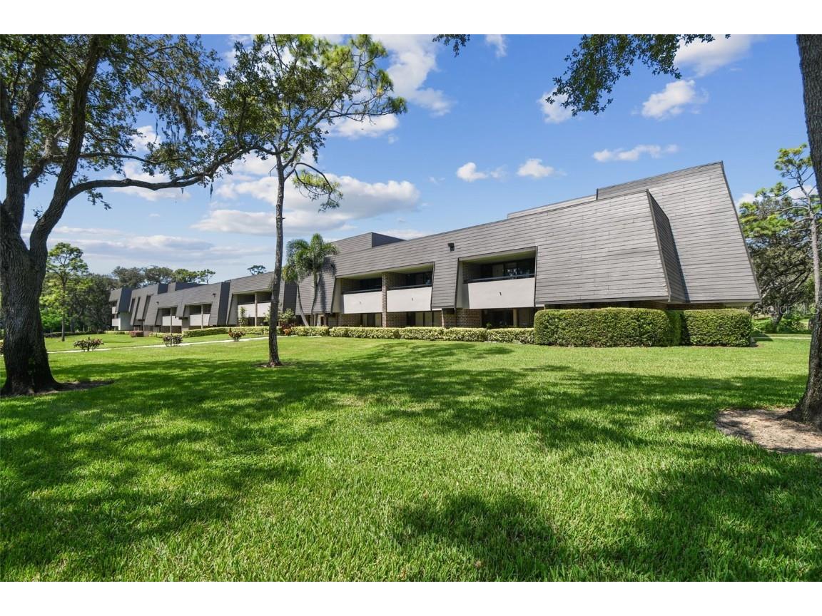 36750 Us Highway 19 N #20309 Palm Harbor FL 34684 TB8430924 image2