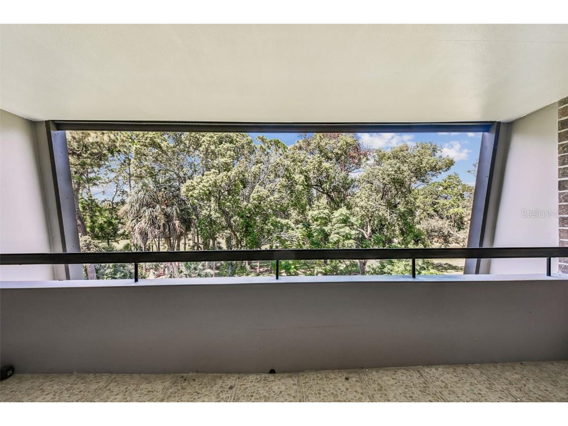 36750 Us Highway 19 N #20309 Palm Harbor FL 34684 TB8430924 image29