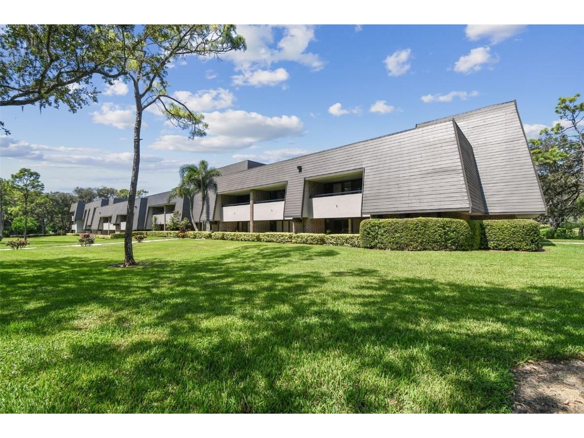 36750 Us Highway 19 N #20309 Palm Harbor FL 34684 TB8430924 image3