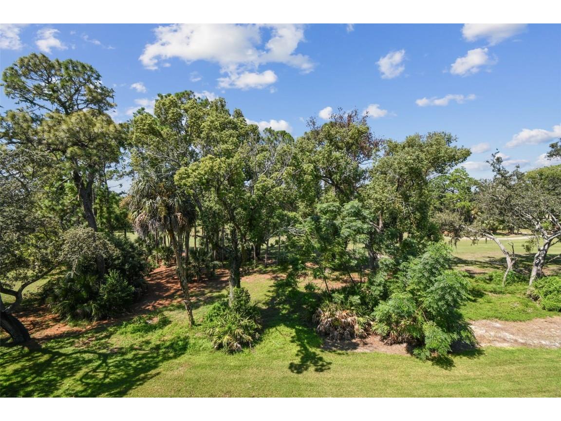 36750 Us Highway 19 N #20309 Palm Harbor FL 34684 TB8430924 image32