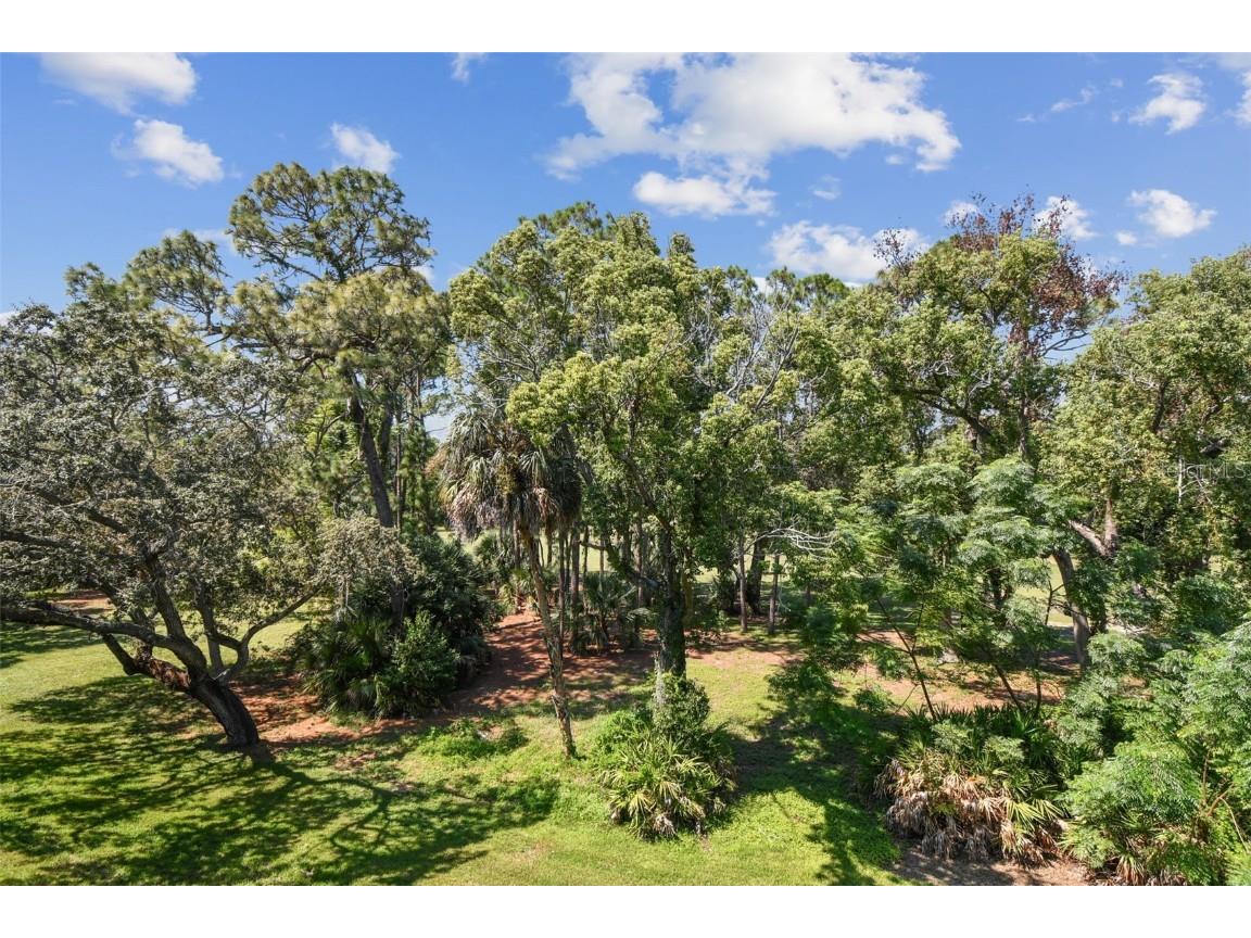 36750 Us Highway 19 N #20309 Palm Harbor FL 34684 TB8430924 image33