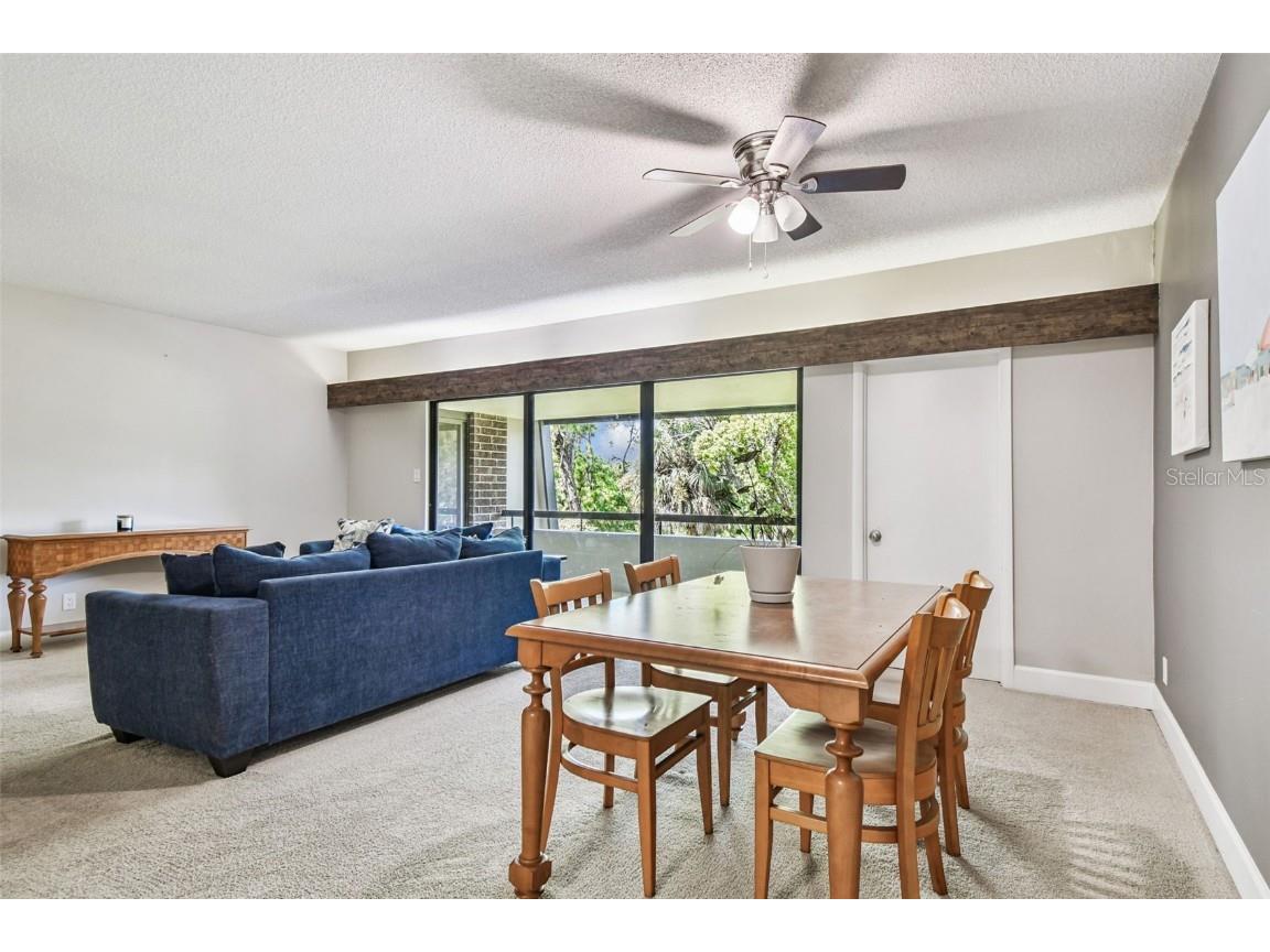 36750 Us Highway 19 N #20309 Palm Harbor FL 34684 TB8430924 image38