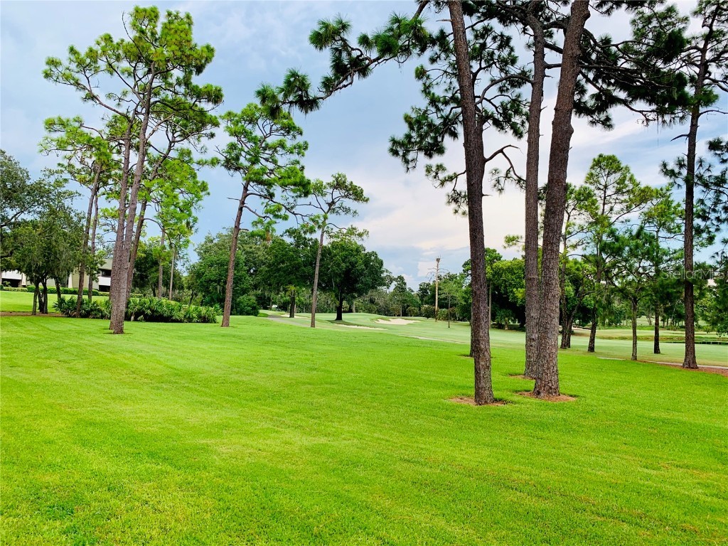 36750 Us Highway 19 N #21-302 Palm Harbor FL 34684 TB8377018 image10