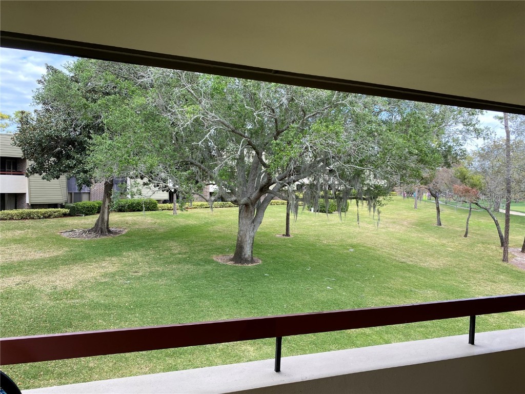 36750 Us Highway 19 N #21-302 Palm Harbor FL 34684 TB8377018 image23