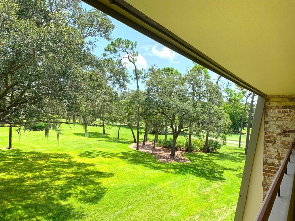 36750 Us Highway 19 N #21-302 Palm Harbor FL 34684 TB8377018 image36