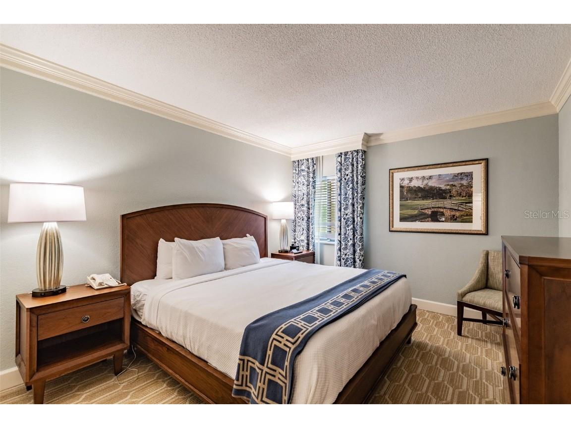 36750 Us Highway 19 N #21305 Palm Harbor FL 34684 U8188590 image25