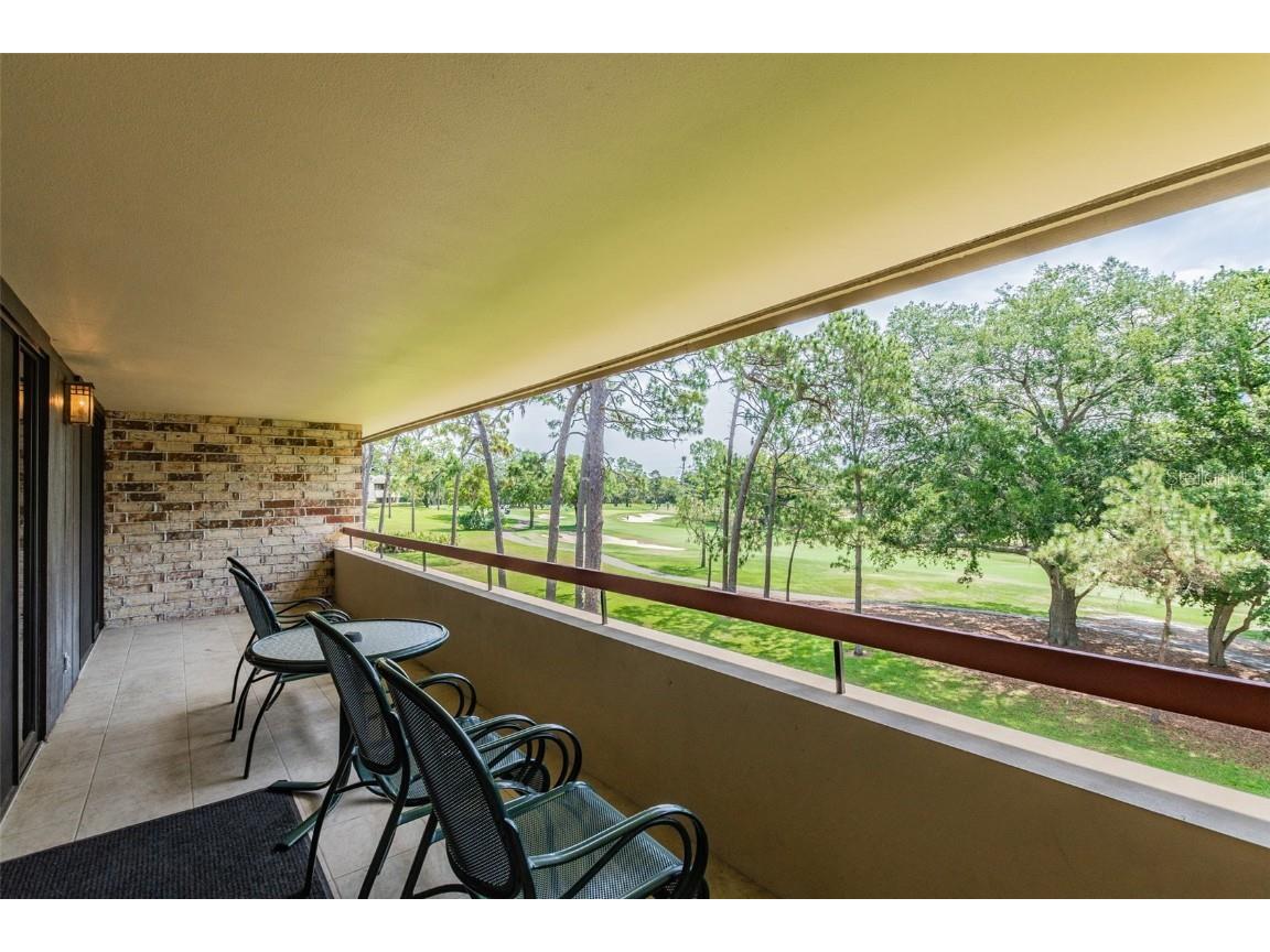 36750 Us Highway 19 N #21305 Palm Harbor FL 34684 U8188590 image4