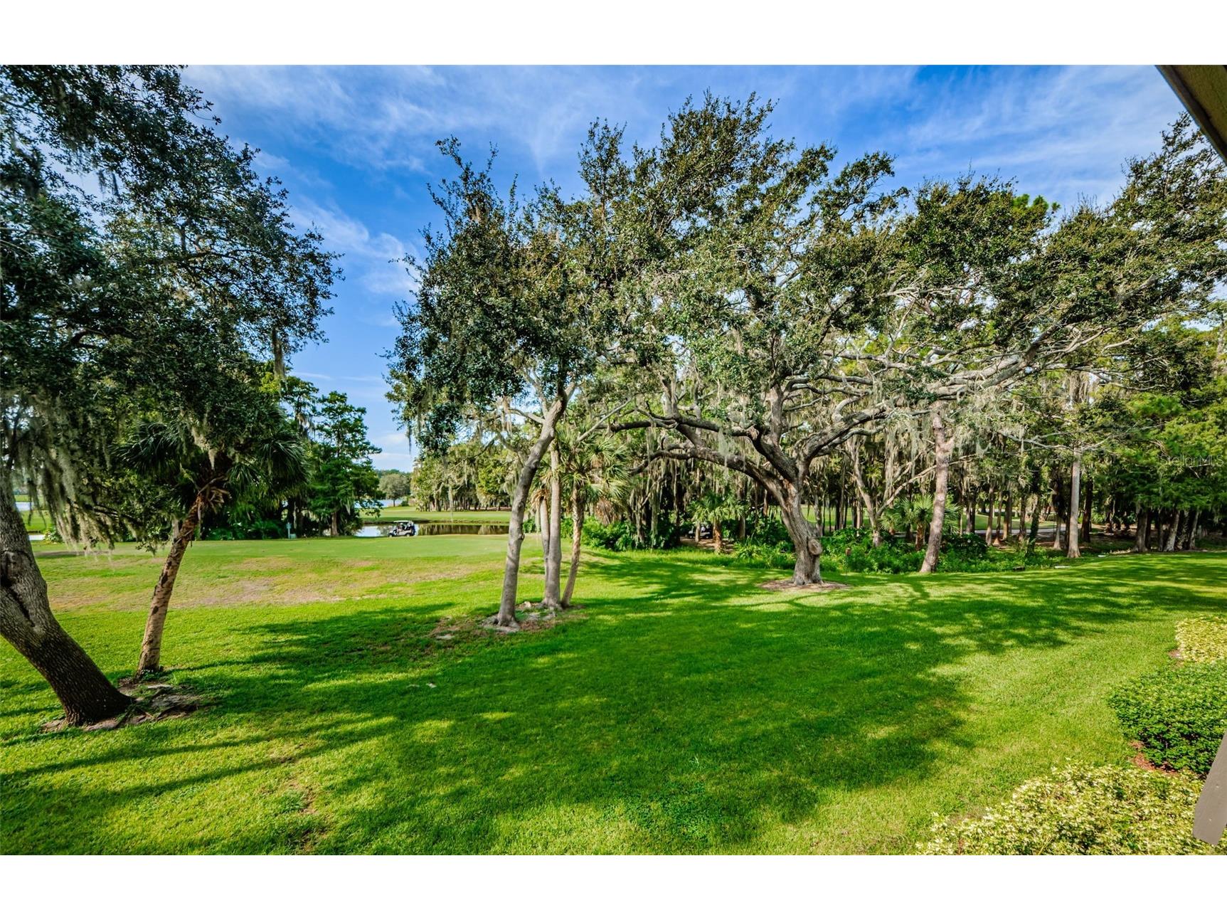 36750 Us Highway 19 N #2177 Palm Harbor FL 34684 - LAKE INNISBROOK TB8480146 image3