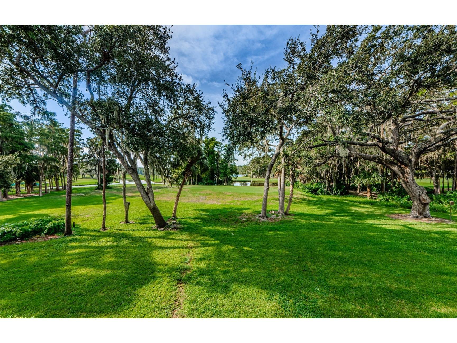 36750 Us Highway 19 N #2177 Palm Harbor FL 34684 - LAKE INNISBROOK TB8480146 image4