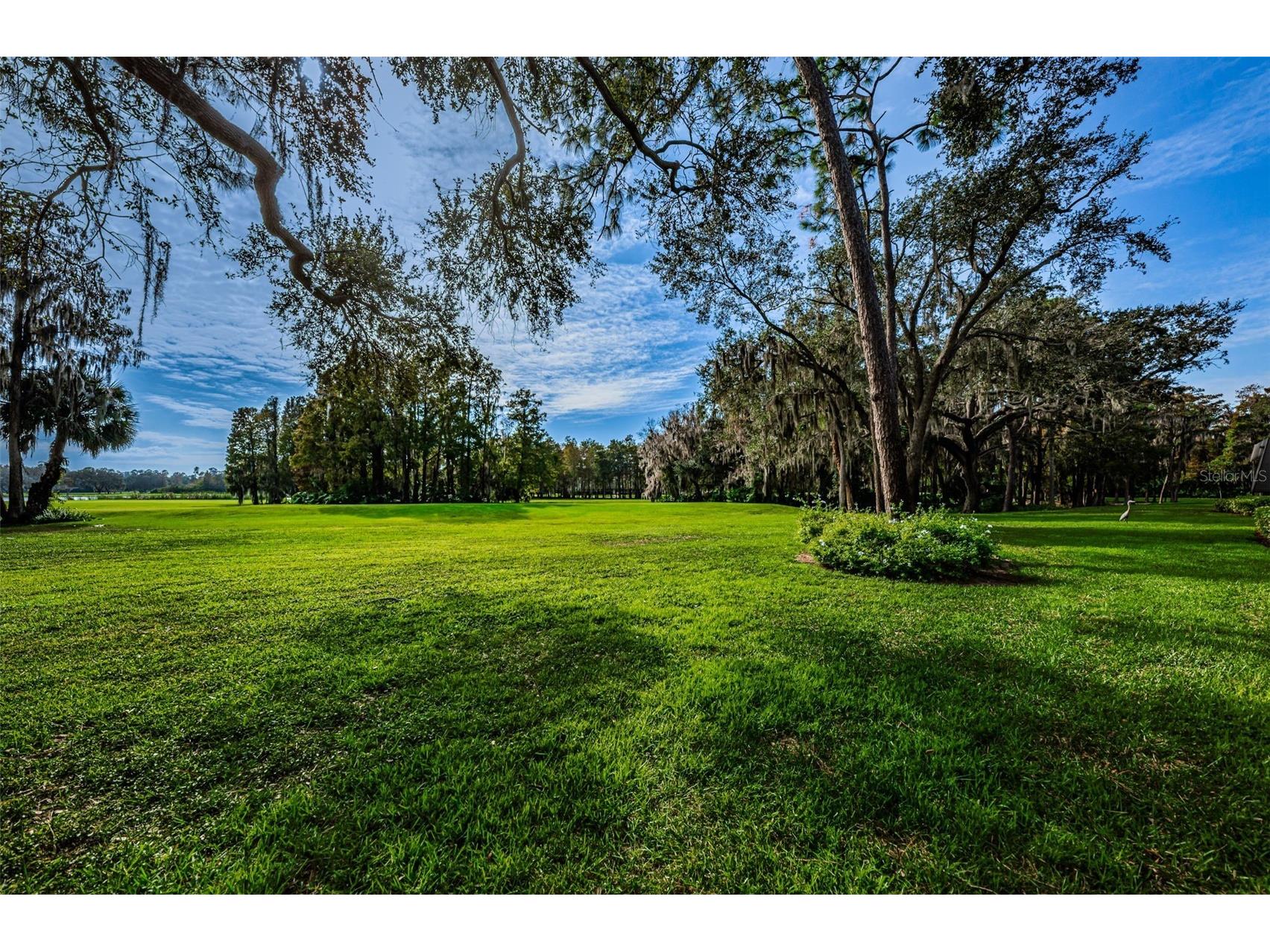 36750 Us Highway 19 N #2177 Palm Harbor FL 34684 - LAKE INNISBROOK TB8480146 image53