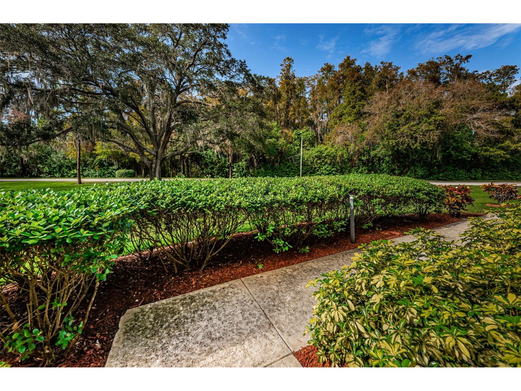 36750 Us Highway 19 N #2177 Palm Harbor FL 34684 - LAKE INNISBROOK TB8480146 image54