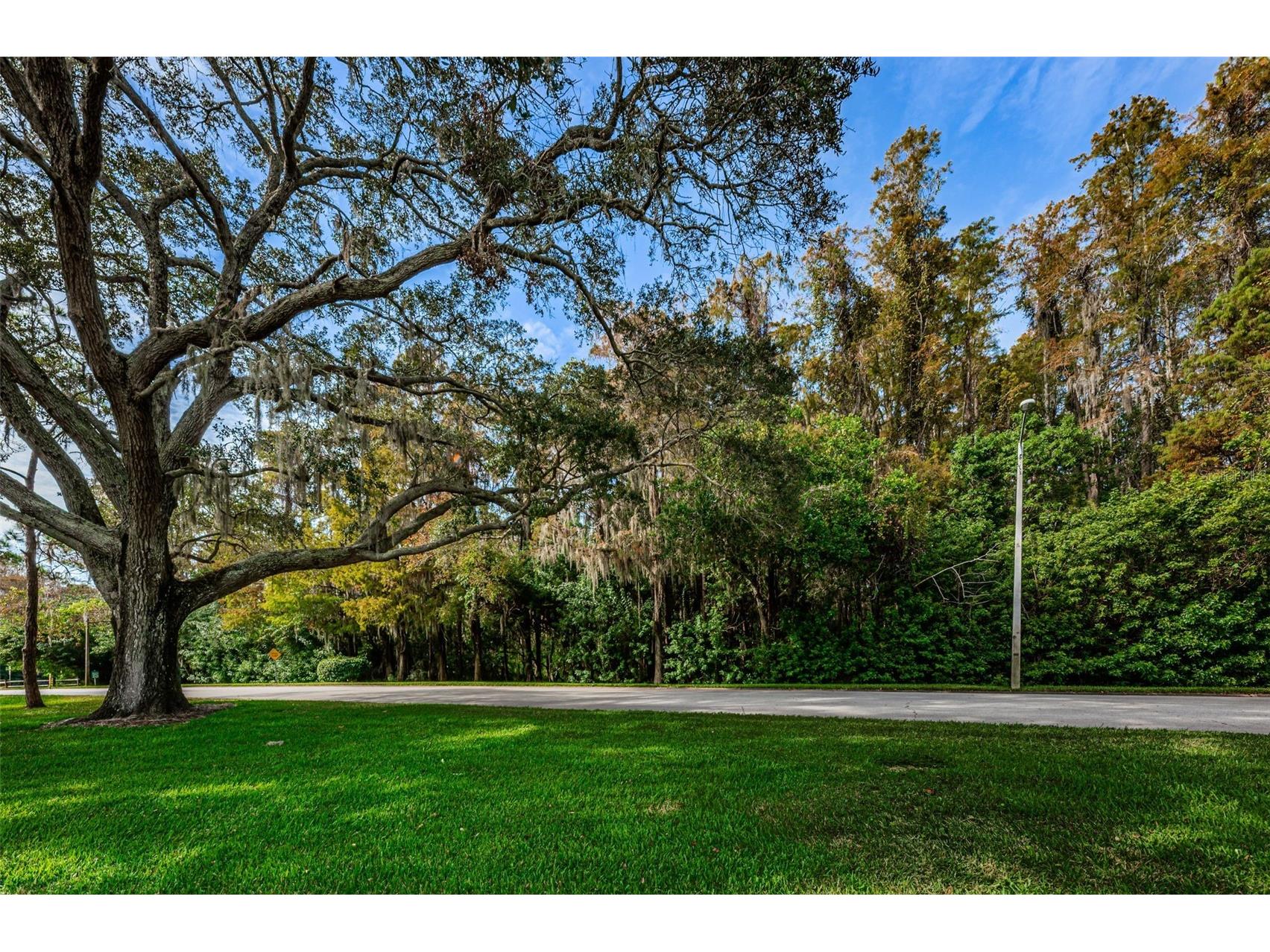 36750 Us Highway 19 N #2177 Palm Harbor FL 34684 - LAKE INNISBROOK TB8480146 image55