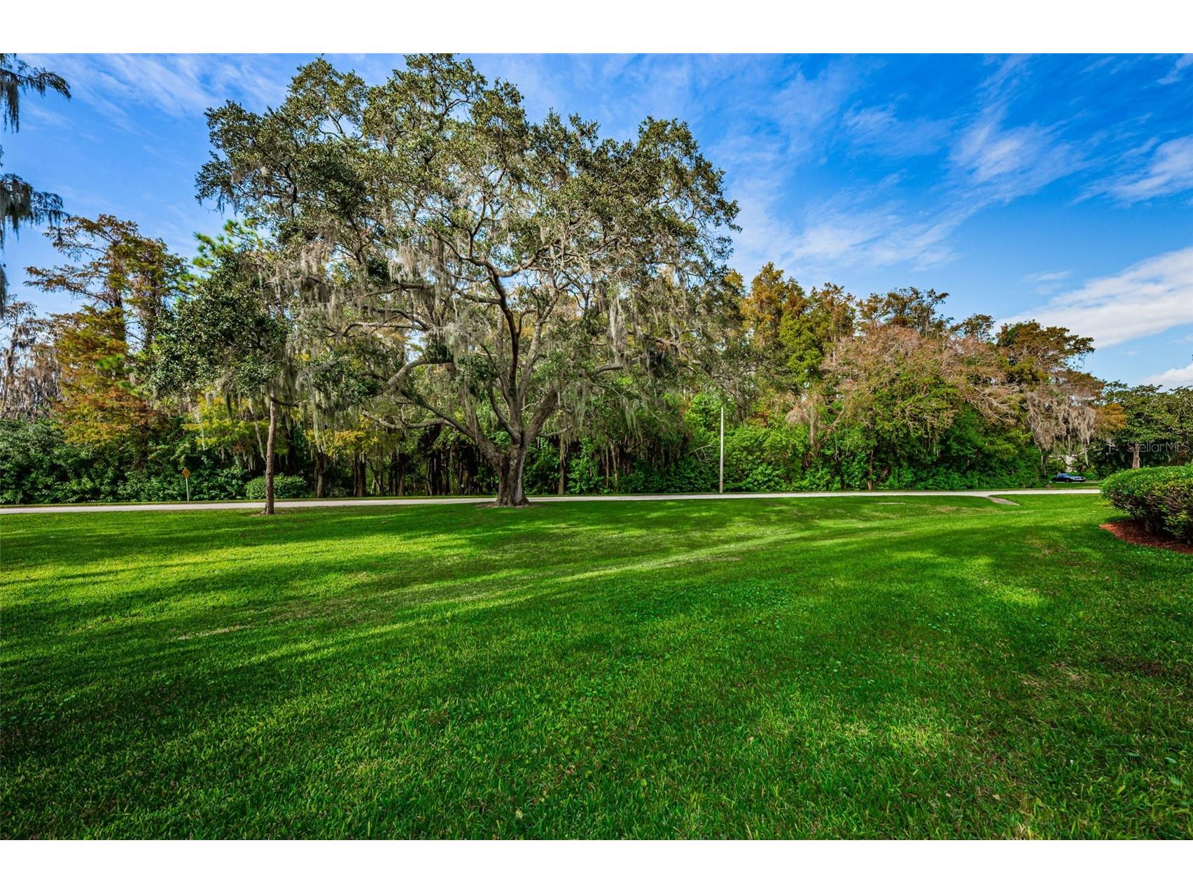 36750 Us Highway 19 N #2177 Palm Harbor FL 34684 - LAKE INNISBROOK TB8480146 image56