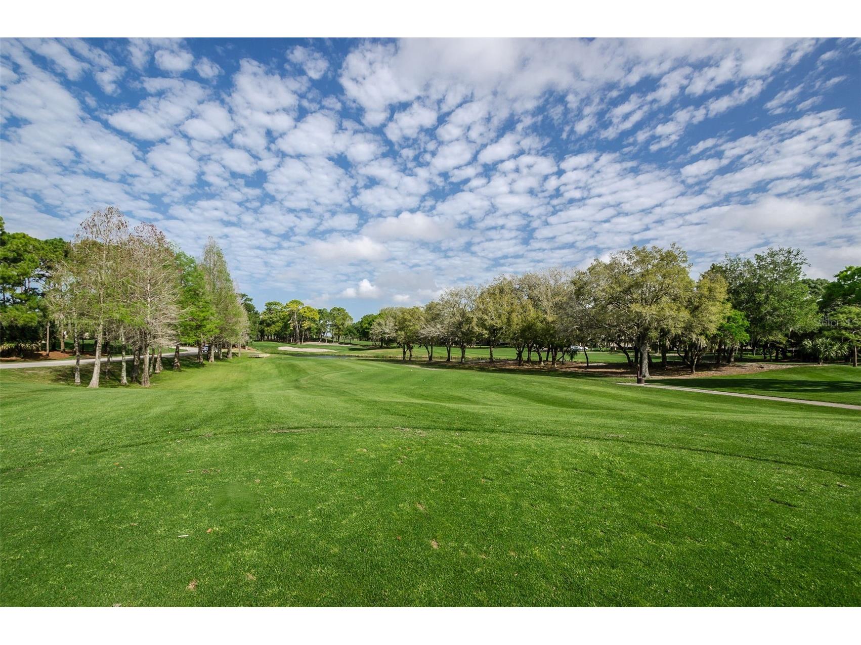 36750 Us Highway 19 N #2177 Palm Harbor FL 34684 - LAKE INNISBROOK TB8480146 image59