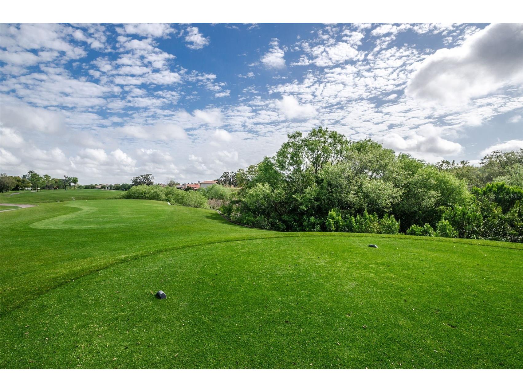 36750 Us Highway 19 N #2177 Palm Harbor FL 34684 - LAKE INNISBROOK TB8480146 image62