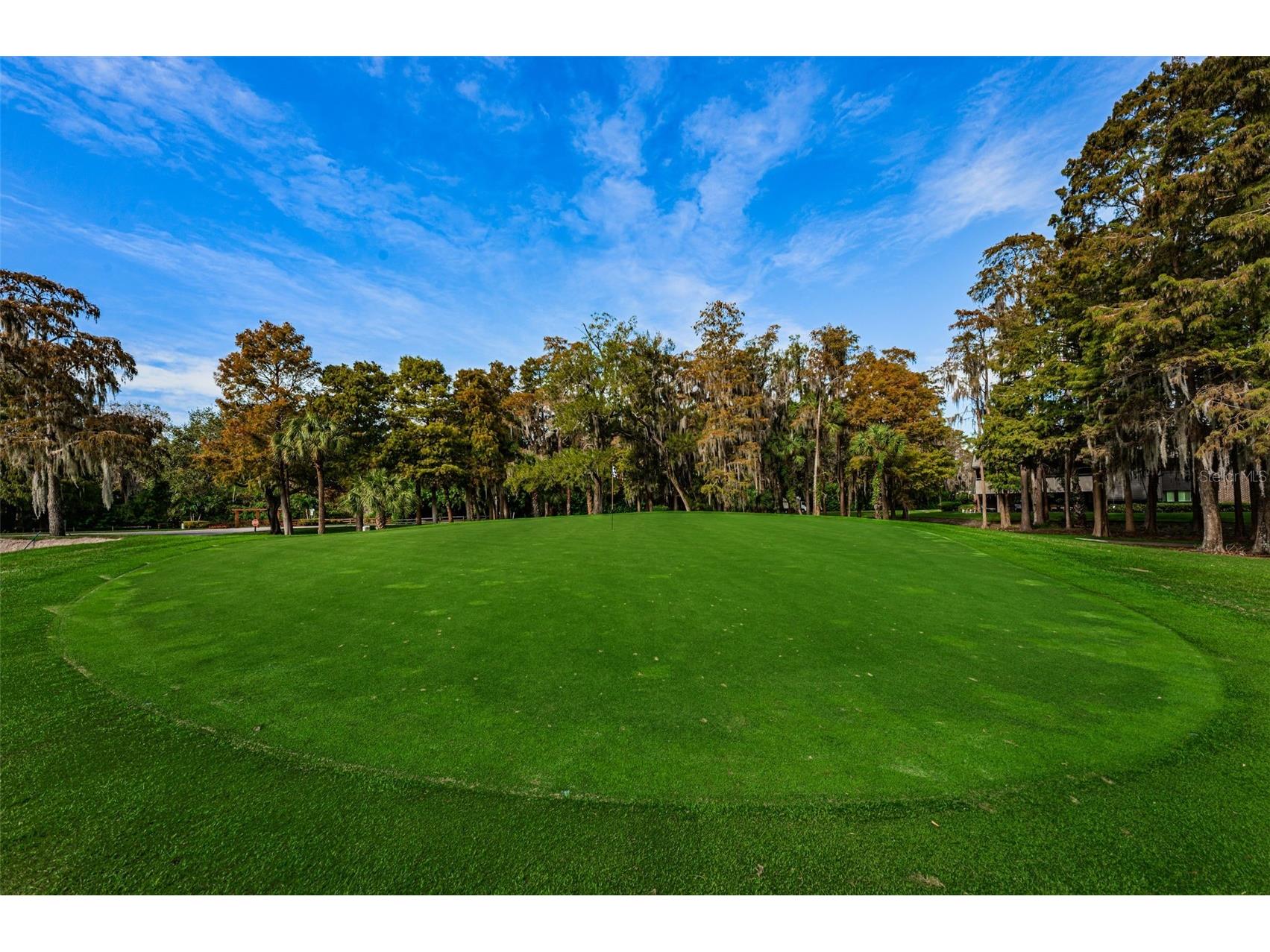 36750 Us Highway 19 N #2177 Palm Harbor FL 34684 - LAKE INNISBROOK TB8480146 image66