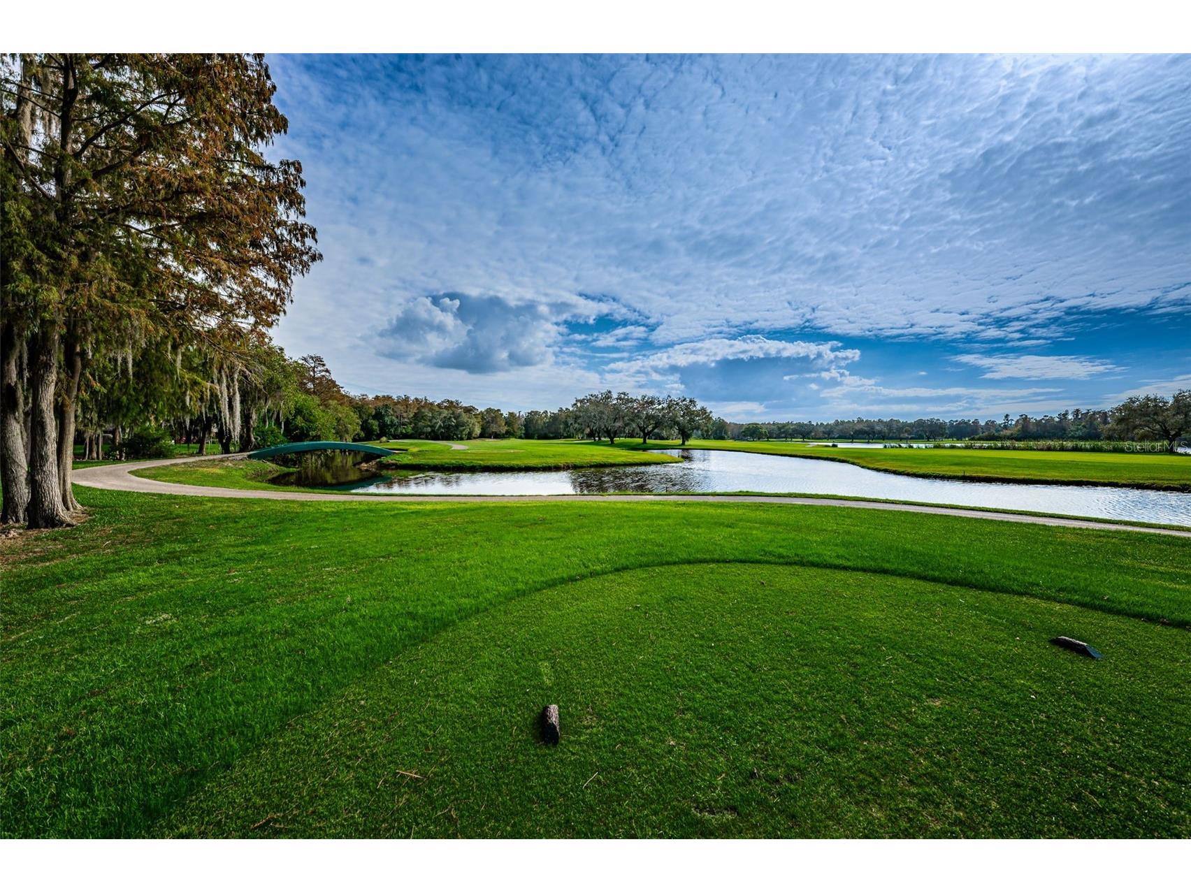 36750 Us Highway 19 N #2177 Palm Harbor FL 34684 - LAKE INNISBROOK TB8480146 image70