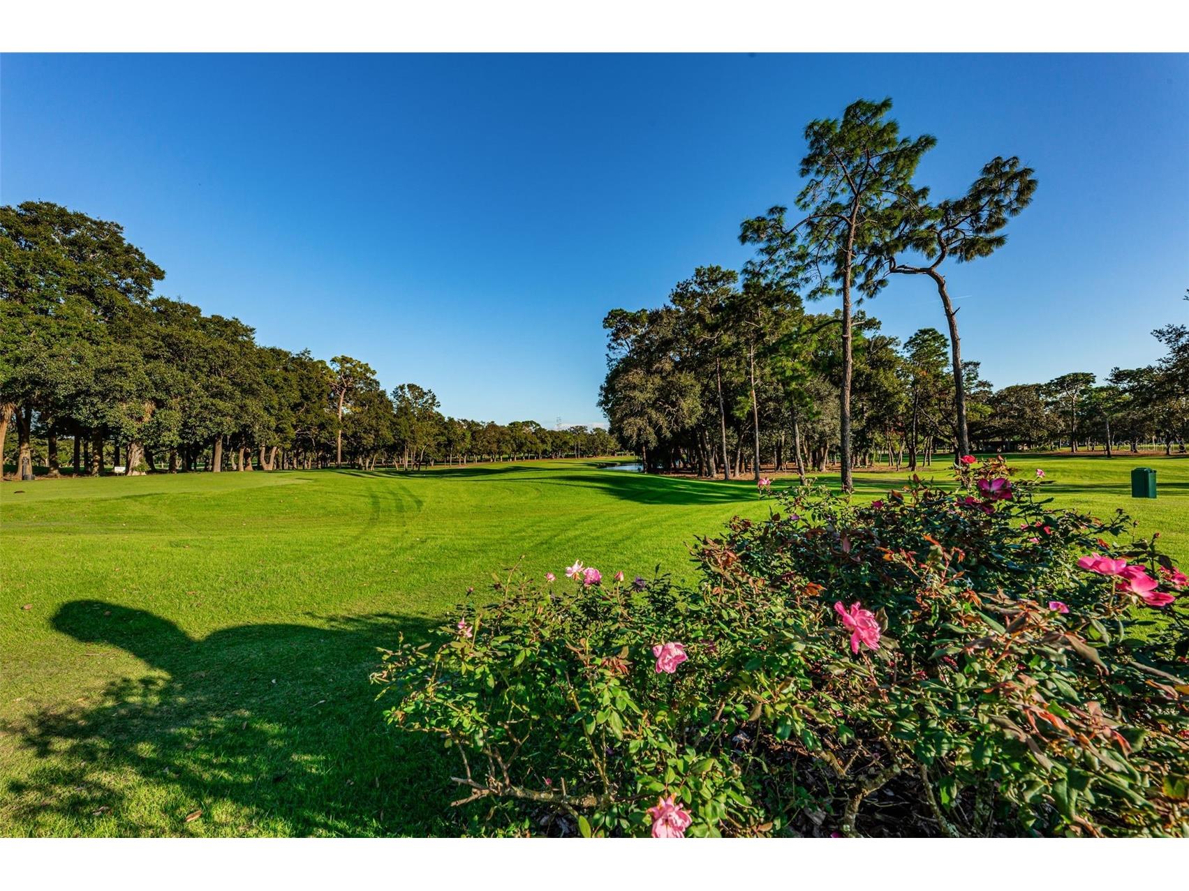 36750 Us Highway 19 N #2177 Palm Harbor FL 34684 - LAKE INNISBROOK TB8480146 image77
