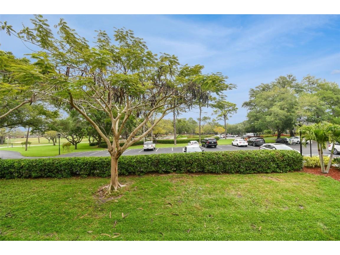 36750 Us Highway 19 N #22204 Palm Harbor FL 34684 U8237688 image2