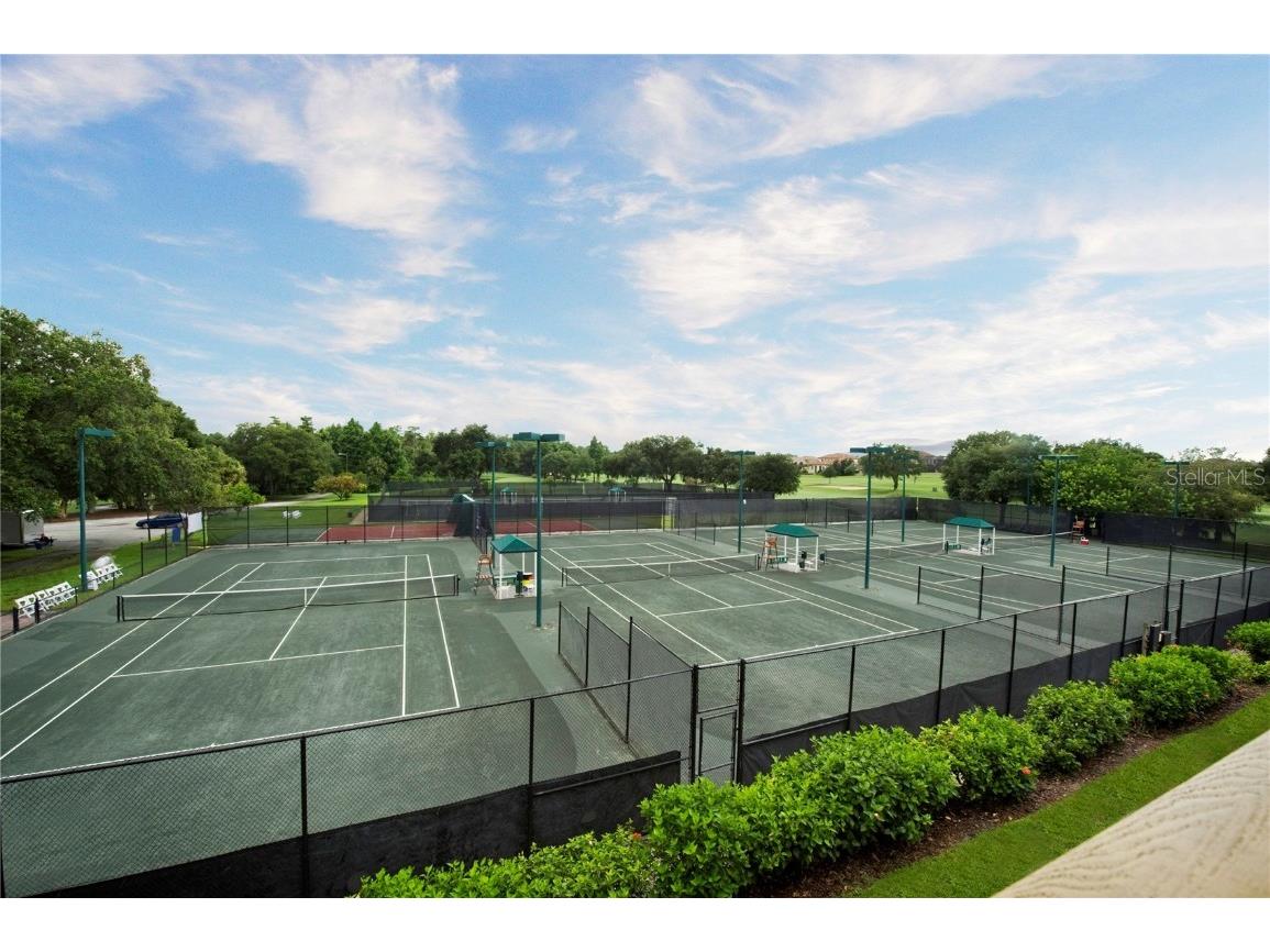 36750 Us Highway 19 N #22204 Palm Harbor FL 34684 U8237688 image61